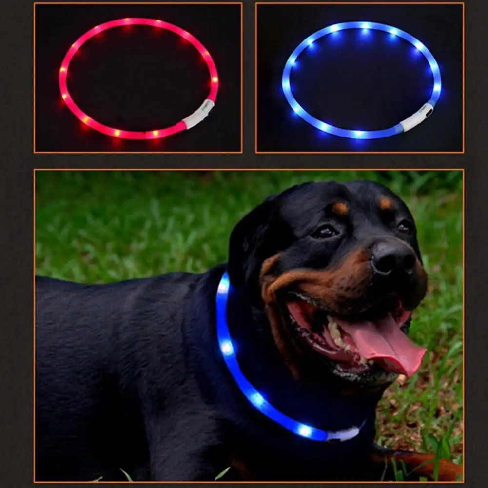 LED Glowing Dog Collar Luminous Collar USB Teddy Cat Silicone Dog Luminous Flashing Necklace Small Medium Large Dogs Collar