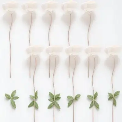 

10Pcs Aromatherapy Rattan Diffuser Sticks Dried Flower Decorative Blossom for Home Office Essential Oil Scented Aroma Sticks