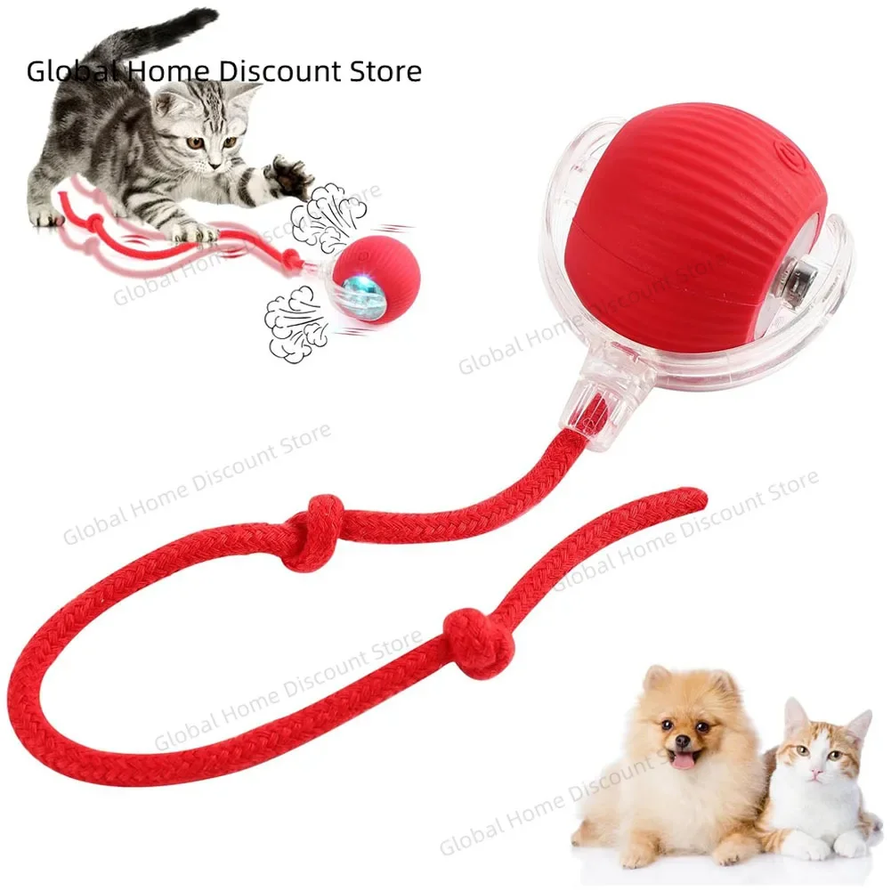 

Interactive Cat Toys Wheel Rolling Ball for Cats Electric Indoor Motion Activate Cat Toys USB-C Rechargeable Stimulate Hunting
