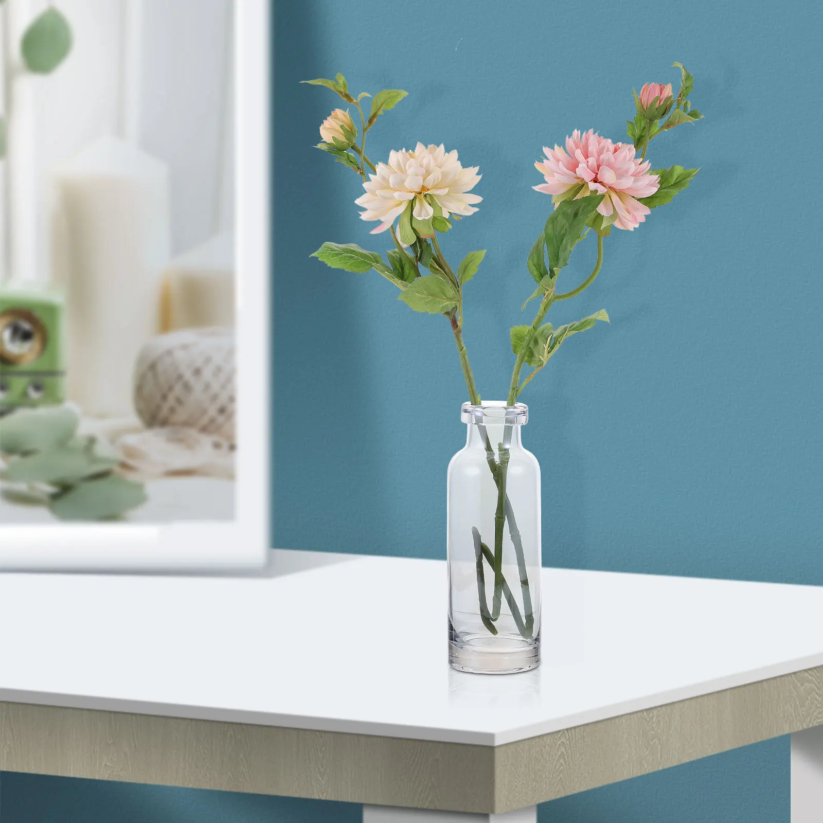 

Hydroponic Glass Vase Desktop Planter Transparent Glass Plant Container Home Decoration Hydroponic Plants Vase