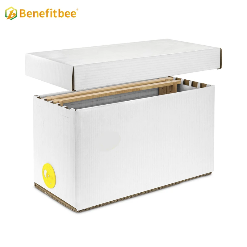 

5 Frames Plastic Nuc Box, Professional Bee Mating Beehive, Durable Beekeeping Tool for Apiary
