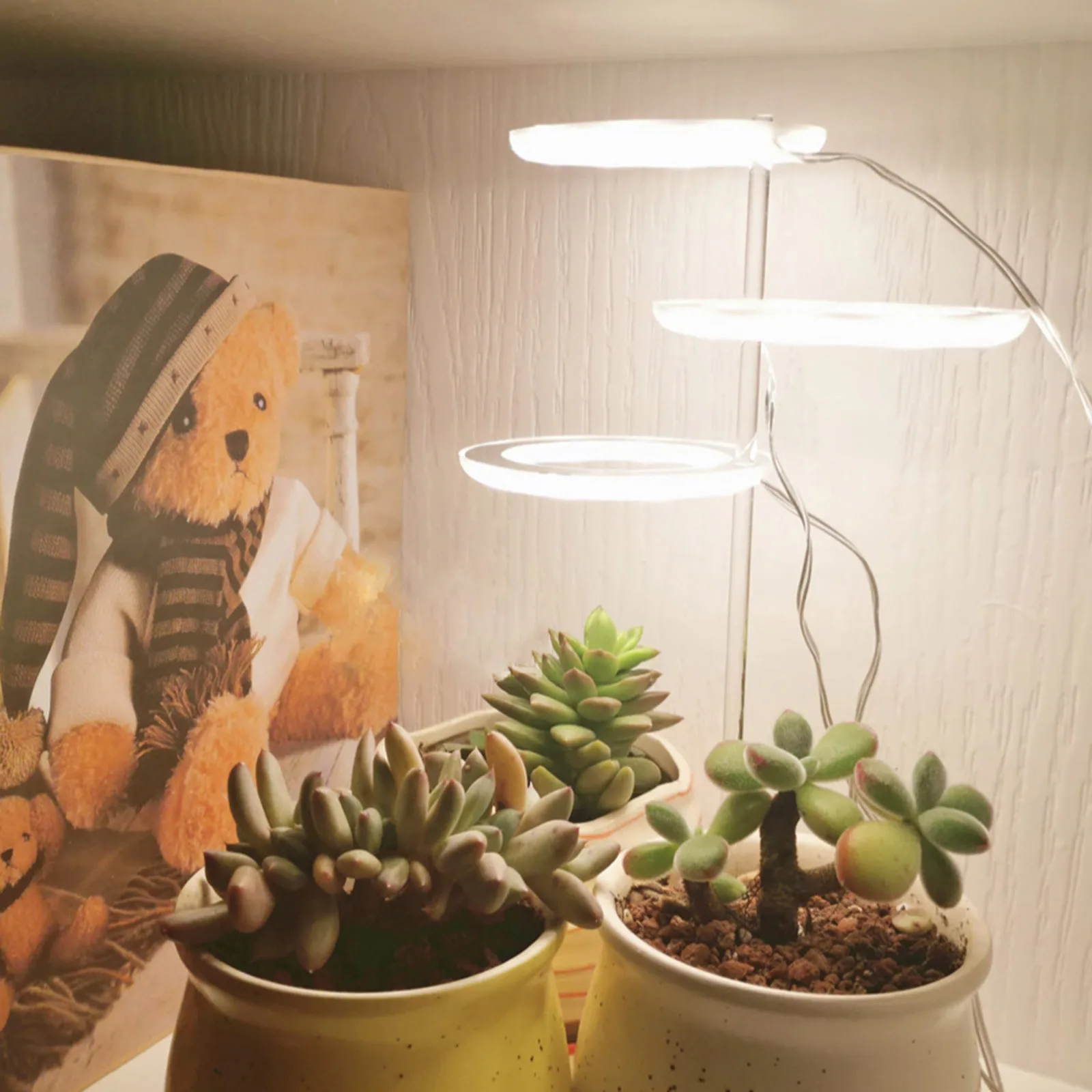 LED植物ランプ,5V,多肉植物,フルスペクトル,屋内温室,花,苗用のUSBリングライト