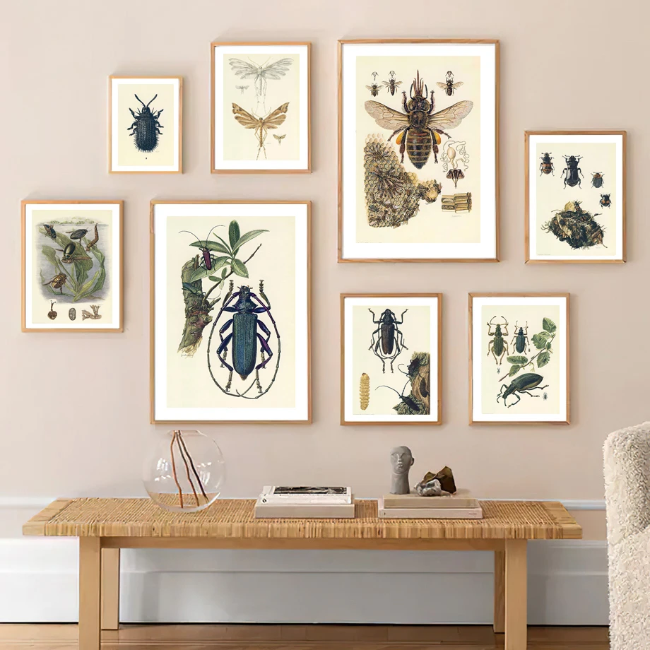 Bee Ant Insects Specimen Entomology Decorative Prints And Poster Vintage Decor Wall Art Canvas Painting Pictures For Living Room