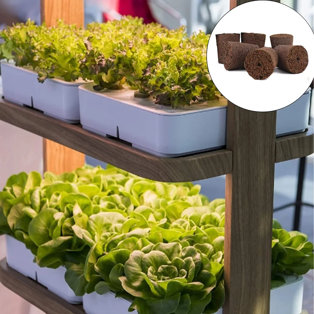 Pflanzen wachsen Schwämme für Garten Hydro ponik Indoor Garten Smart Schwamm mit Nährstoffen, Ersatz wachsen Pod