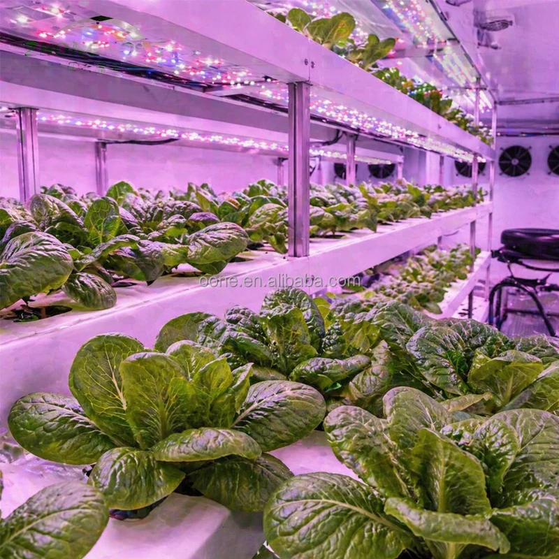 Automatic Hydroponic Vegetable - Urban Farming Hydroponics review and price