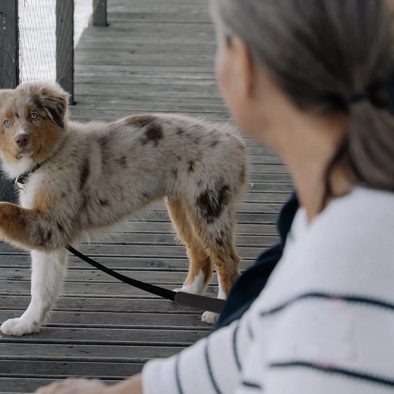 

4Pcs Pet Leash Handle Wrap Sponge Sleeves Soft Grip Covers Non Slip Dog Leash Protector for Outdoor Walking Sponge Sleeves