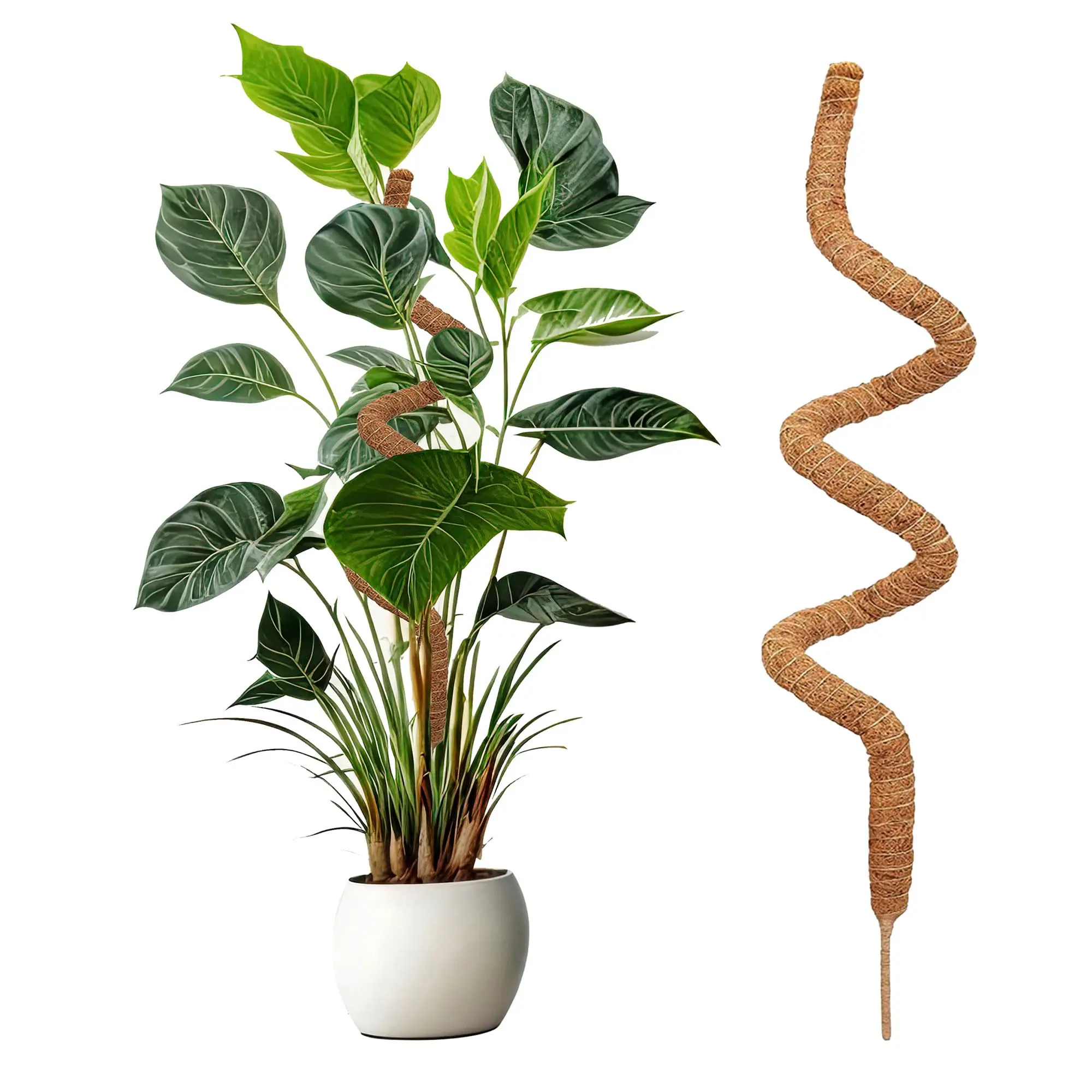 1pc Moss Pole Plant Support - Plant Trellis Moss Pole for Plants Monstera - Handmade Coco Coir Plant Support, Garden Trellis