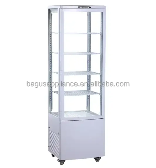 Best Price 235L Commercial Stainless Steel Refrigerator Upright Beverage Cooler With LED Light And Glass Door