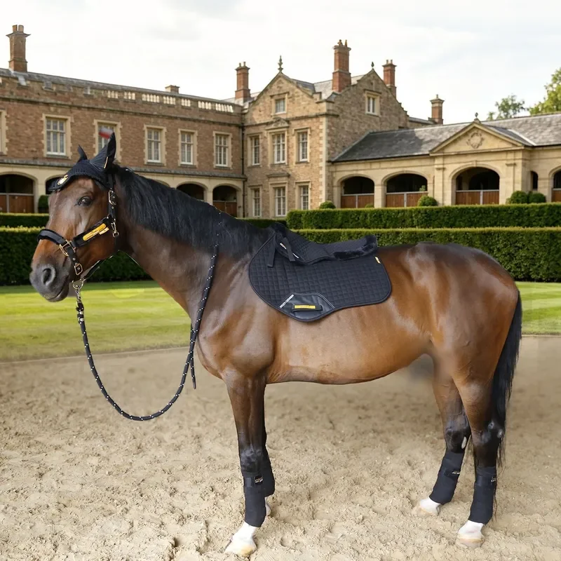 Ear muffs, saddle pads, leggings, bridle, horse rope, six-piece set of horses, free matching combination harness, equestrian