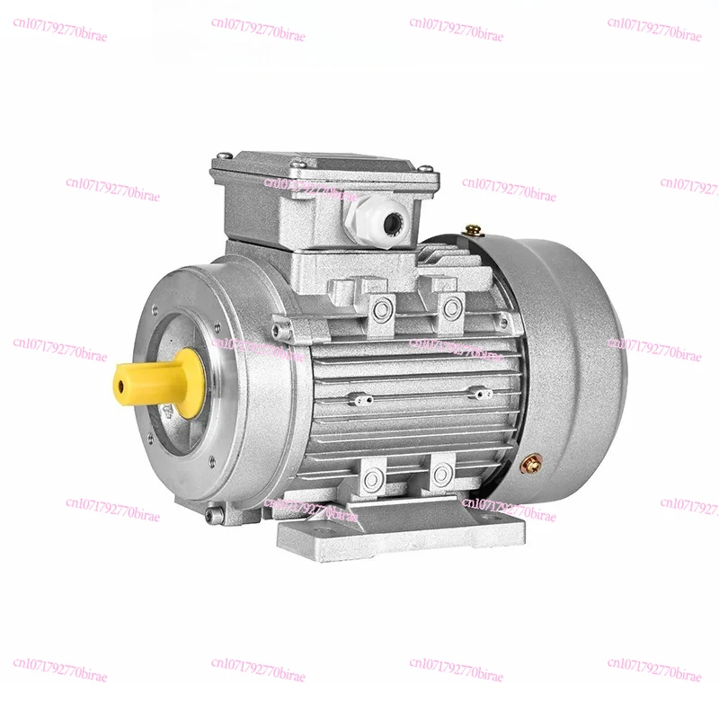 

Трехфазный двигатель YS в алюминиевом корпусе, национальный стандарт, чистая медь, 2800 об/мин, 0.75 кВт, 2/4, горизонтальный B14, вертикальный 1400 об/мин