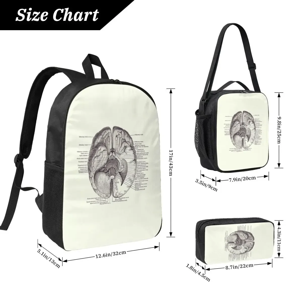 Brain Nervous System Diagram Vintage Anatomy Backpack Student Boys Girls BookBag School Bag 3ps Insulated Lunch Bag Pencil Case