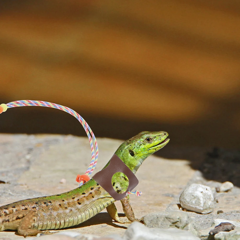 

2Pcs Adjustable Bearded Dragon Leash Wear-Resistant Lightweight Lizard Traction Rope Outdoor Small Reptile Walking Harness