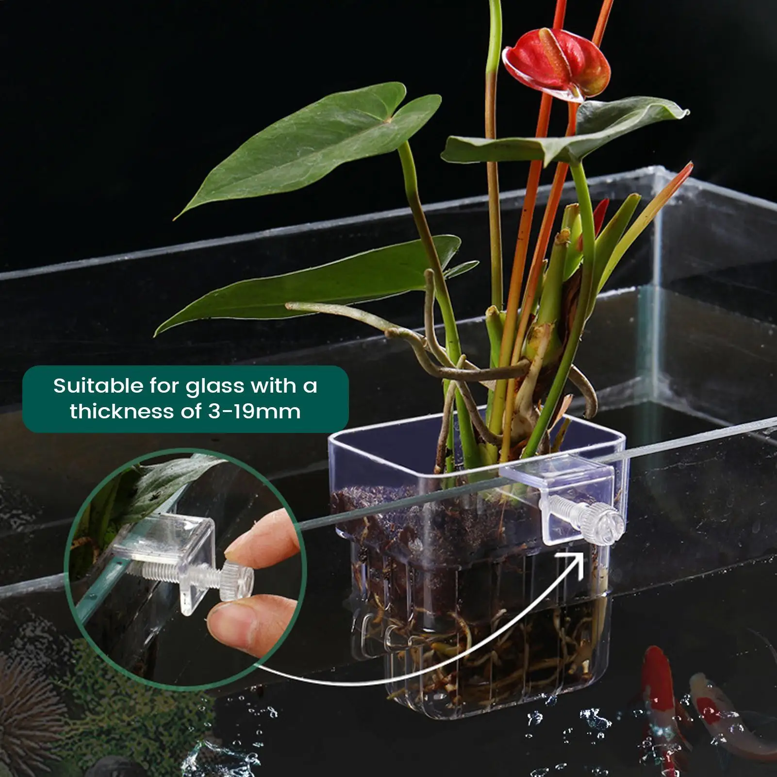 1pcs Fish Tank Plant Holder Transparent Hanger Cup Aquatic Plant Holder For Fish Tank Hydroponic System Indoor Home Cultivation