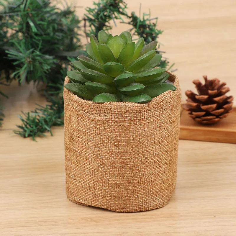 Bonsai Tree Kit Mini Succulents Burlap Pots with Plant Labels Growing DIY Gardening for Plant Lovers Succulent Pot
