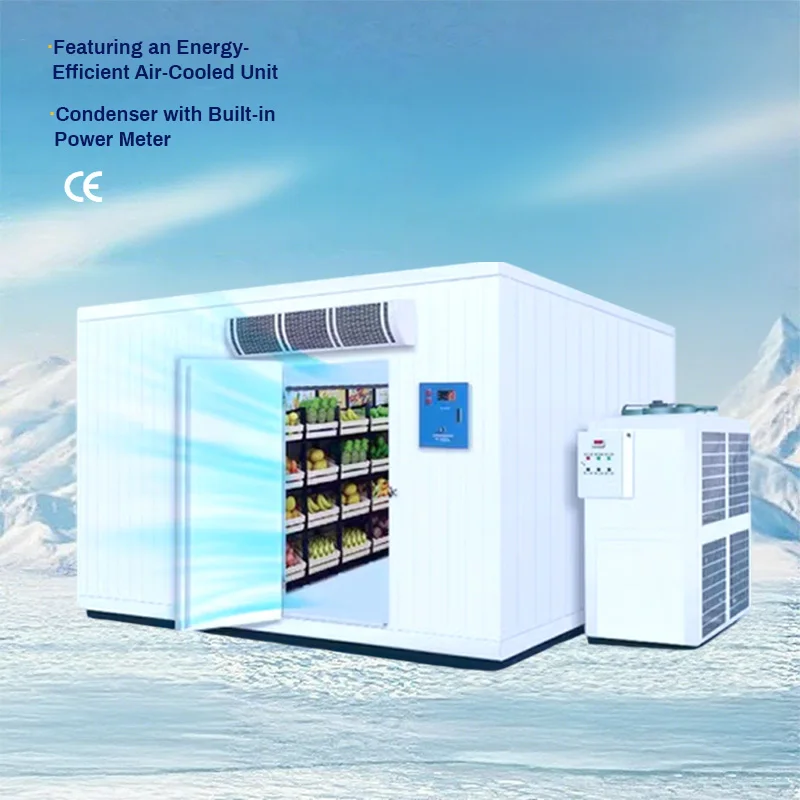 Customized Blast Freezer Industrial Quick Freezing Machine One Stop Cold Room Service for Seafood Meat Processing Plants