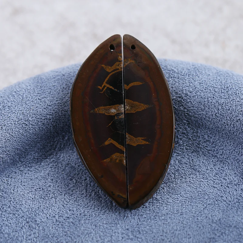 Natural Commonite F…