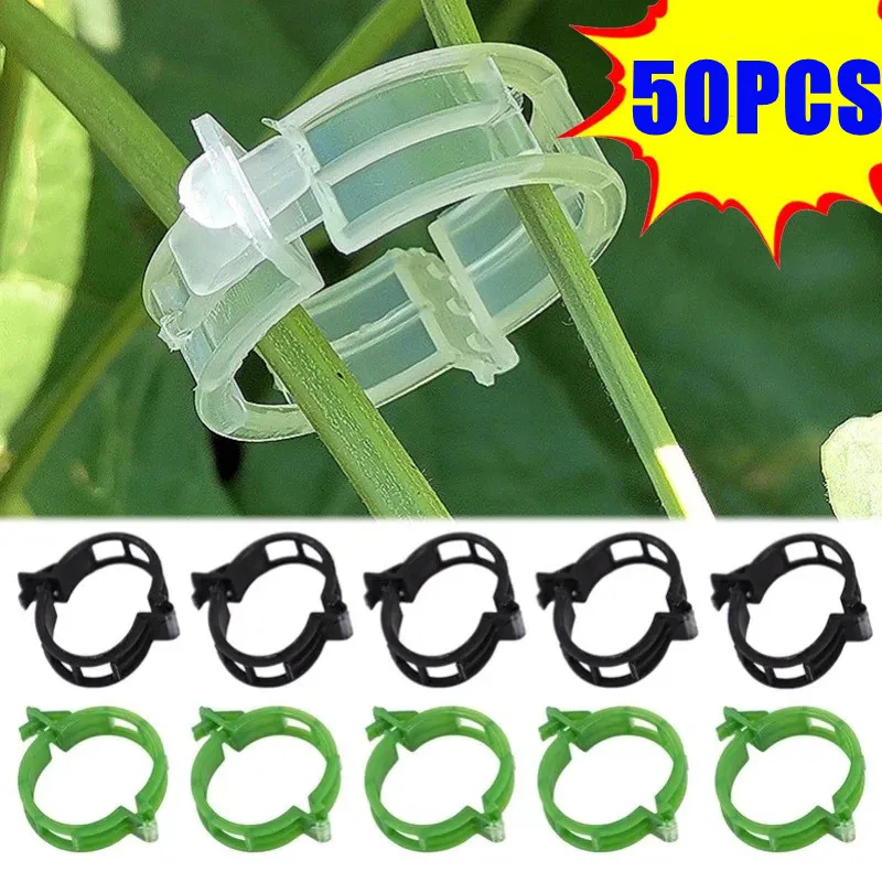 

Plant Clips Supports Reusable Plastic Connects Fixing Vine Tomato Stem Grafting Vegetable Plants Orchard and Garden Tools