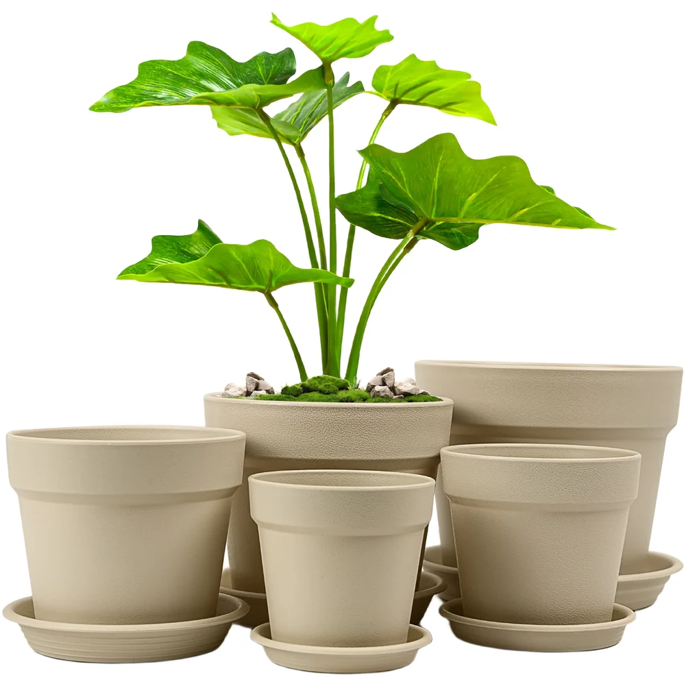 Indoor Flower Pot Bundle 5 Count with Dual-Use Design Suitable for Succulents Herbs and For Desktop Garden Setup