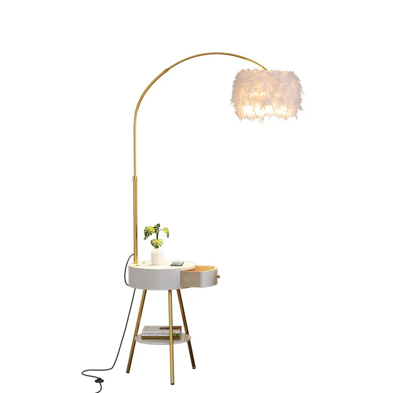 

Internet celebrity princess floor lamp, feather living room bedroom study standing lamp