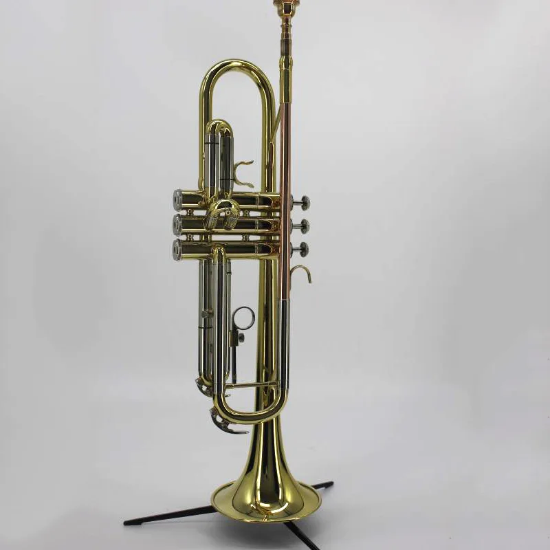 

Trumpet instrument students beginners playing grade children adult Church School