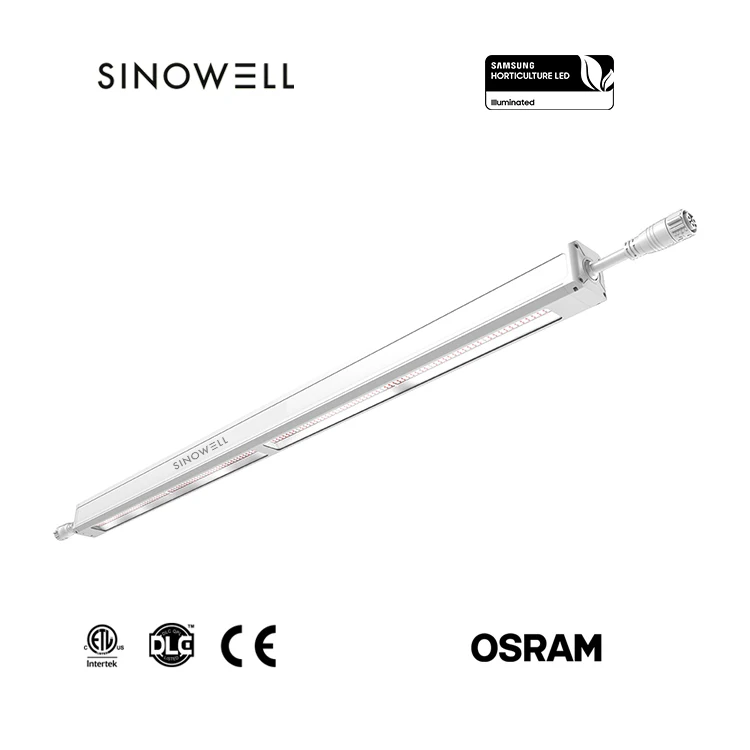 

Hot selling：Sinowell LINEAR Toplight 3.3 Umol/J Daisy Chain Greenhouse 200W 300W LED Grow Lights