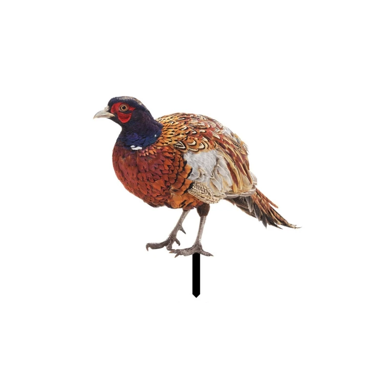 Garden Stake Set of 2 Pheasants Art Decoration Courtyard Patio Lawn Sculpture