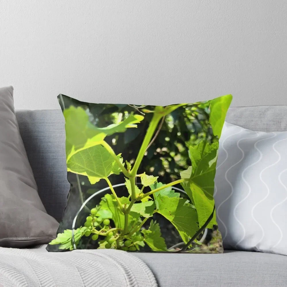 

Grapes on the Vine Throw Pillow autumn decoration Decorative pillow case luxury sofa pillows Custom Cushion pillow
