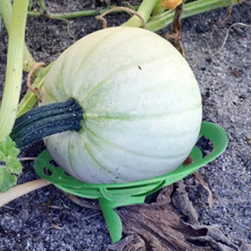 Strawberry Support Squash Protector Stand Garden Pumpkin Support Stand Trellis Avoid Ground Rot For Watermelons Squash