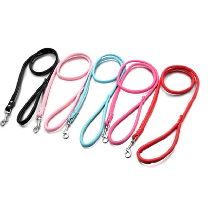 Traction collar set small and medium dog footprint cat dog leash rope