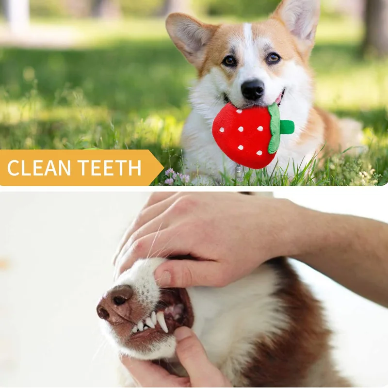 12Pcs/Lot Large Dog Toy Sets Chew Rope Toys for Dog Chewing Toy for Dog Outdoor Teeth Clean Toy for Big Dogs Juguete Para Perros