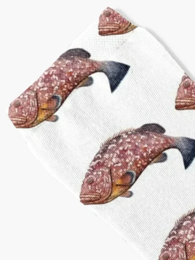 Dusky grouper or merou Socks floral gifts sheer moving stockings Ladies Socks Men's