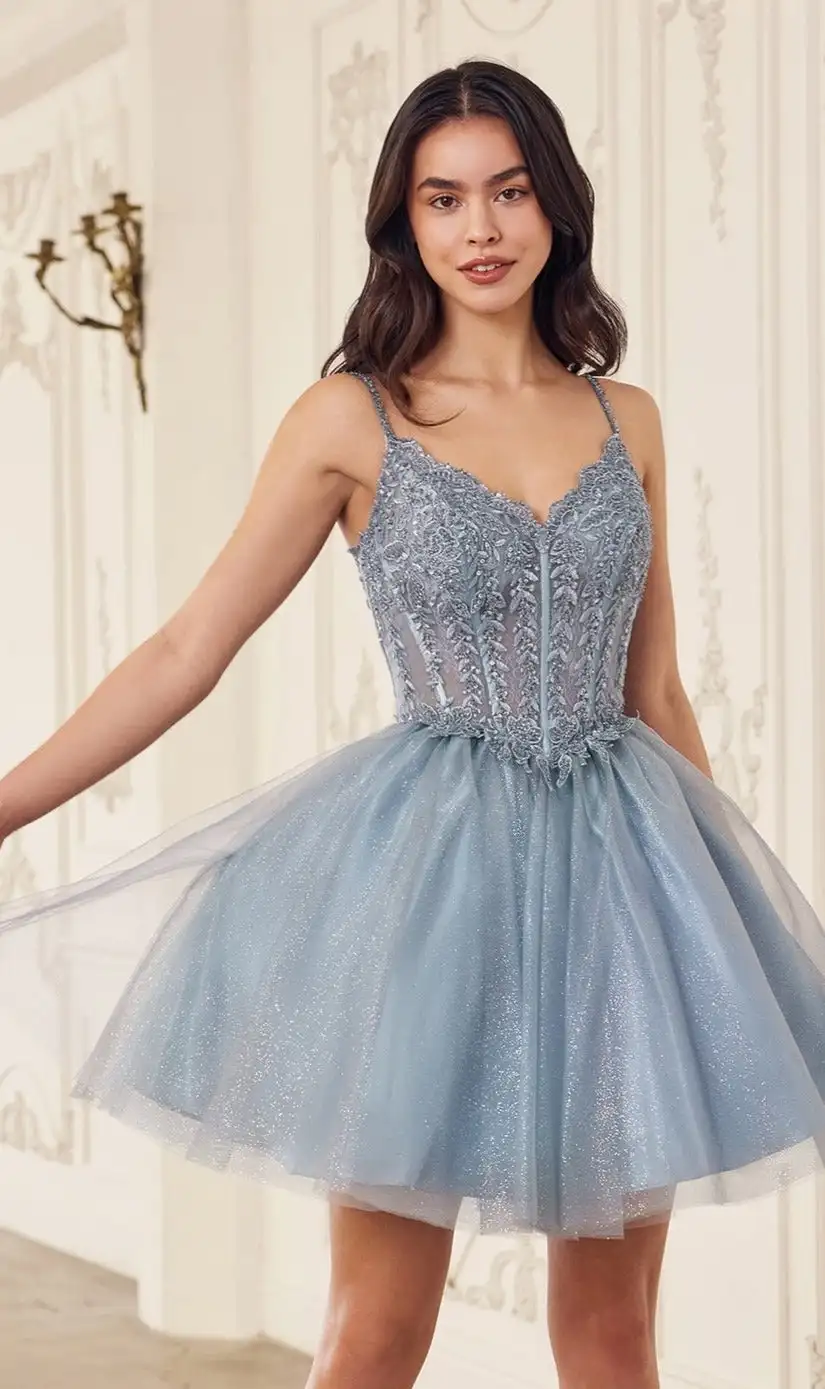 A-Line Spaghetti Strap Sweetheart Tulle Short Homecoming Dress with Lace Sleeveless Illusion Cocktail Dress Elegant