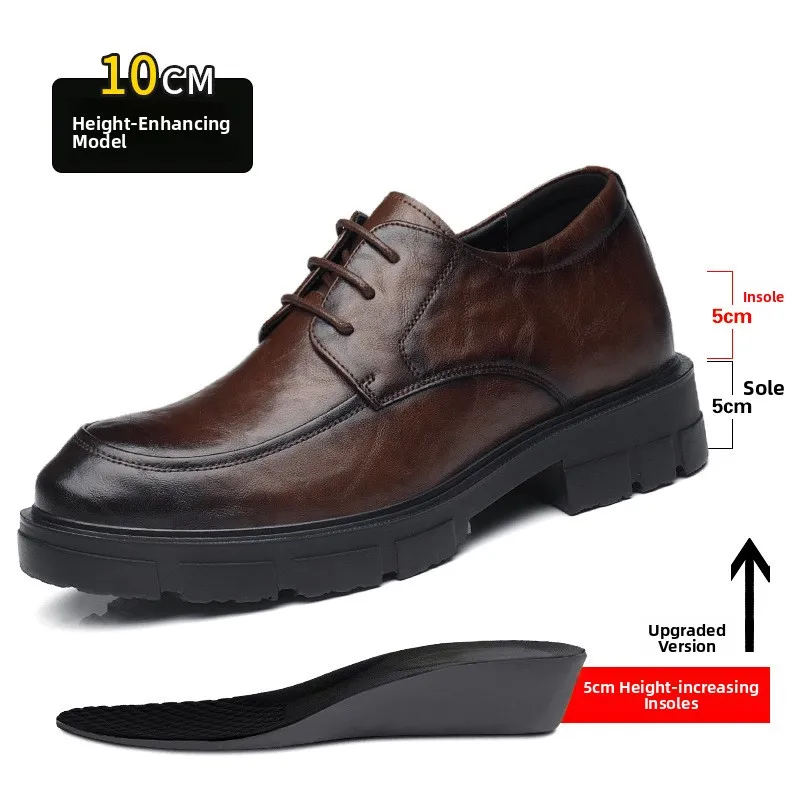 Brown increases height by 10cm [z83]