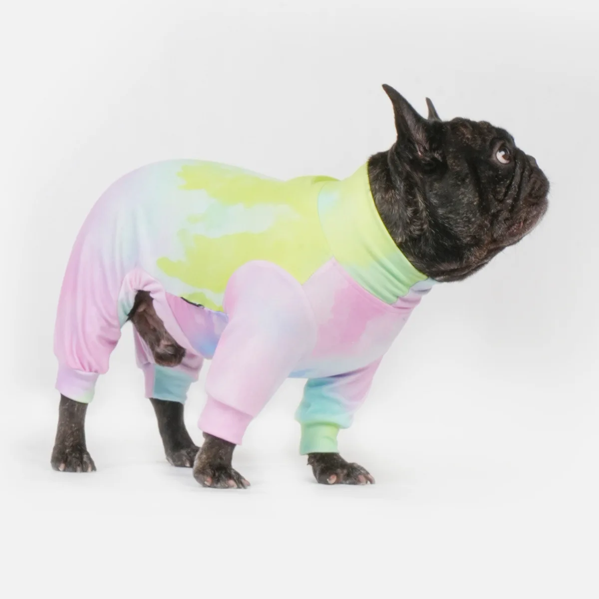 بذلة للكلاب بأربعة أرجل، بيجامة للحيوانات الأليفة دافئة للخريف والشتاء، مقاومة للغبار ومضادة للتساقط، بولدوج فرنسي