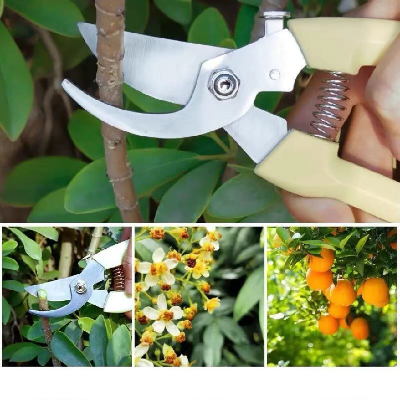 

Stainless Steel Horticultural Scissors Bird Beak Shape Branch Pruning Labor Saving Pruning Picking Multifunctional Fruit Scissor