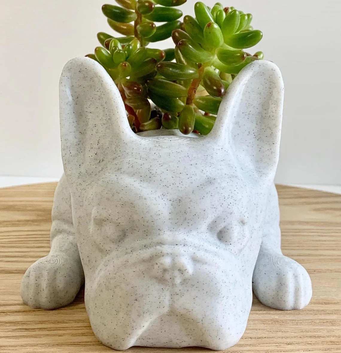 The Puppy Statue Planter Resin French Bulldog Succulent Planters Flower Dog Pot Office Desktop Garden Houseplants Decor 1pcs