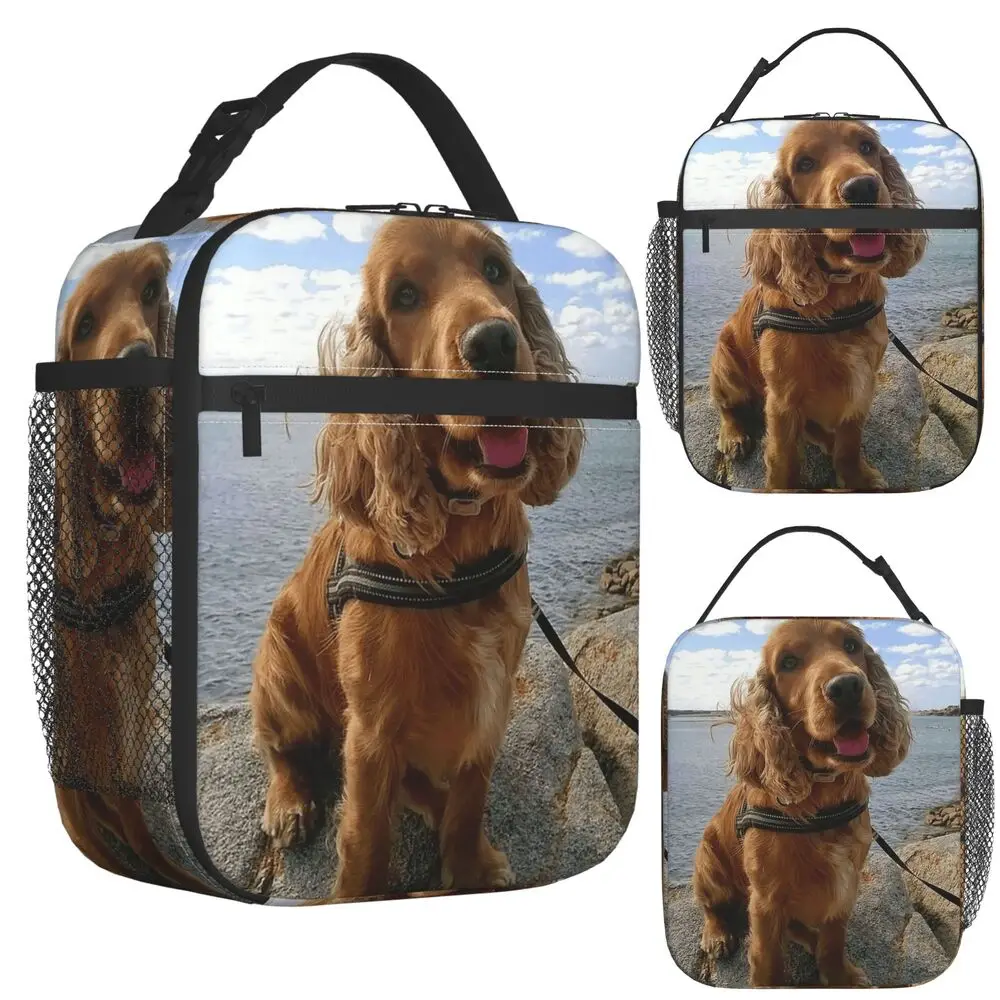 Funny Cool Cocker Spaniel Dog Animal Insulated Lunch Bag for Women Children Leakproof Food Boxes Thermal Lunch Box Tote