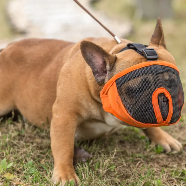 Short nasal dog special mask anti-bite and anti-barking, bulldog eye mask, small S Orange, grey Pet food utensils