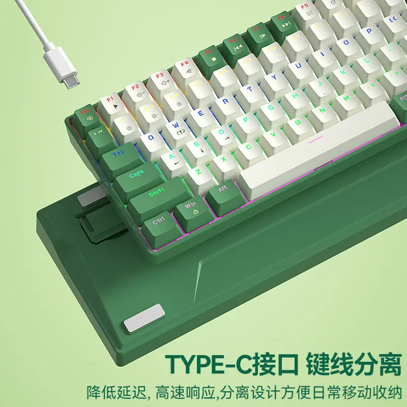 Wired Mechanical keyboard Customized Esports gaming Hot swap keyboard mixed light 68/87/100 keys keyboard USB port