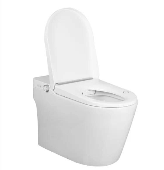 

One piece waterproof electrical bidet intelligent automatic warm smart toilet