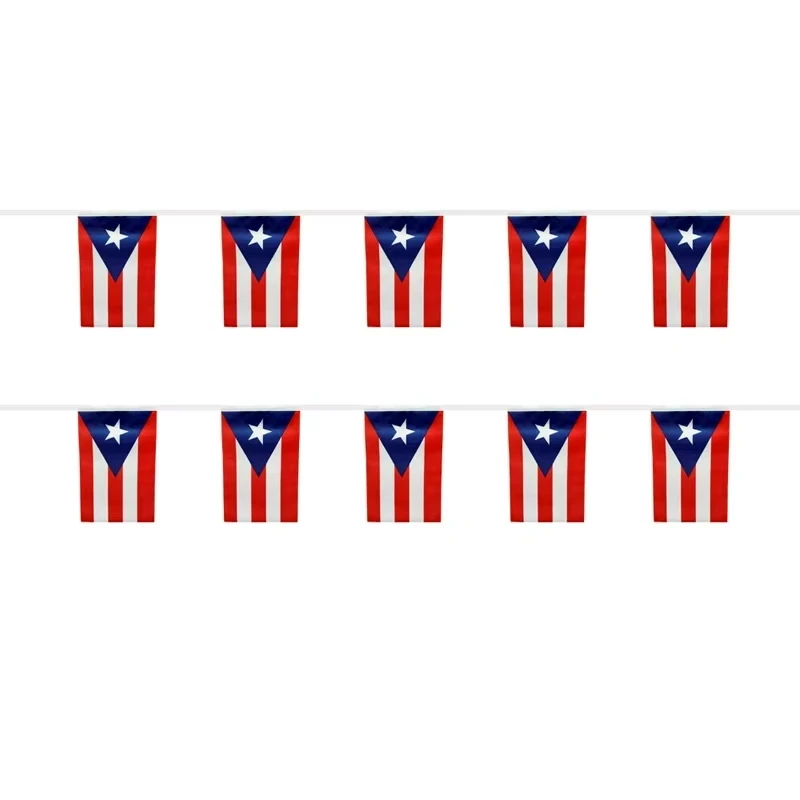 Aerlxemrbrae  5.5M  14x21cm 20pcs/lot  Puerto Rico bunting flag for Festival Party Holiday string banner decoration