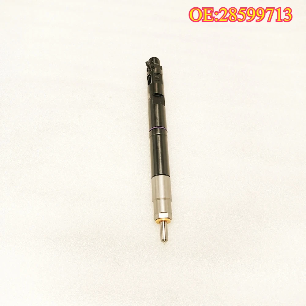

High quality New For 28599713 1100100 42039950-XED95 1100100XED95 1100100XE Diesel Common Rail Injector Nozzle 1100100-ED95 28