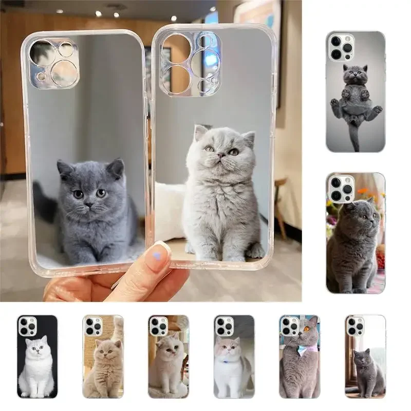 Custodia per telefono British Shorthair Cat per Iphone 7 8 Plus X Xr Xs 11 12 13 15 Mini Mobile Iphones 14 Pro Max Custodia