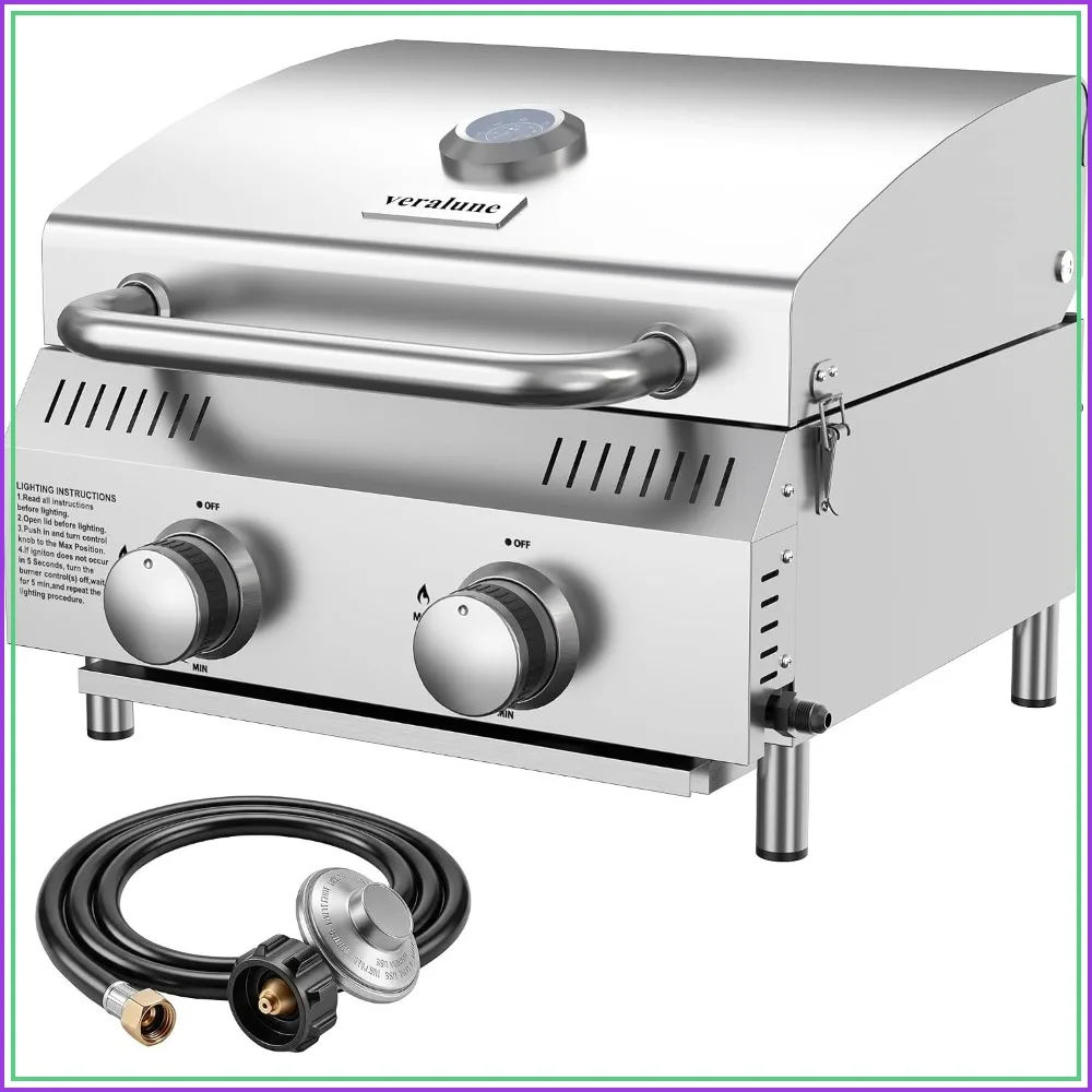 2-Burner Tabletop Gas Grill, 22000 BTU Stainless Steel Portable BBQ for Camping, Patio, Tailgating