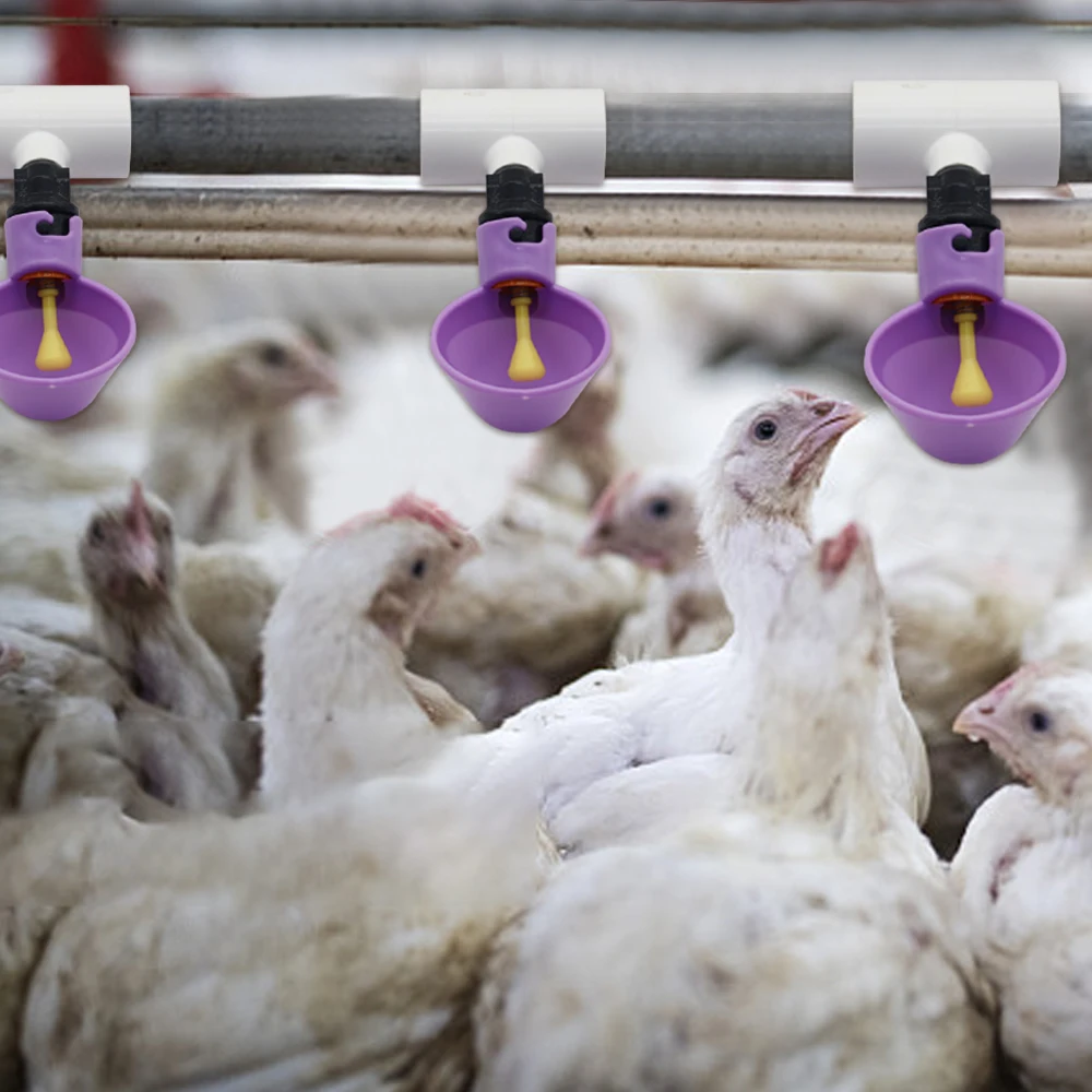 5/10/20 pces automático frango codorna coelho aves sistema de rega animal pvc tubo de três vias beber copo conexão tubo conectar