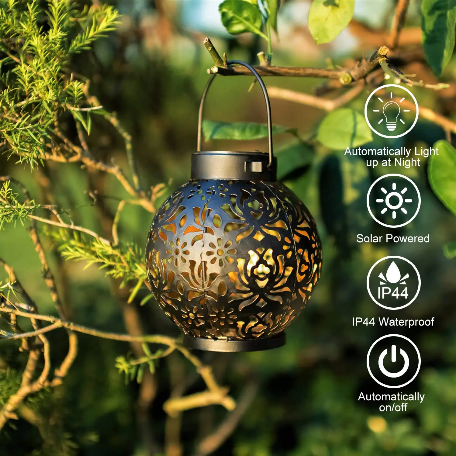 Thumbnail 4 - #24 Solar Garden Lights Comparison Guide