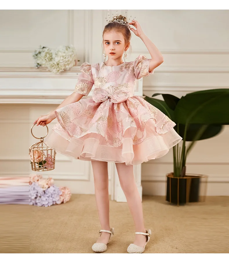 

Pink Princess Dress for Baby Girls, Summer New Flower Girl Wedding Gown, Girls Host & Piano Performance Tutu Dress