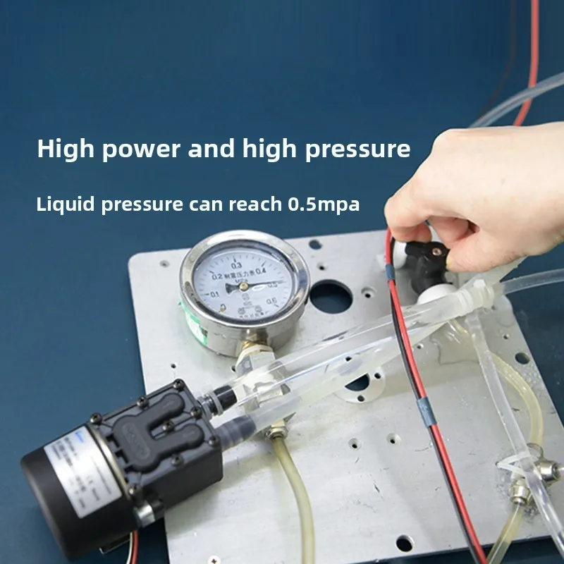 Micro Diaphragm Pump 12V 24V High Pressure Self-priming Water Pump