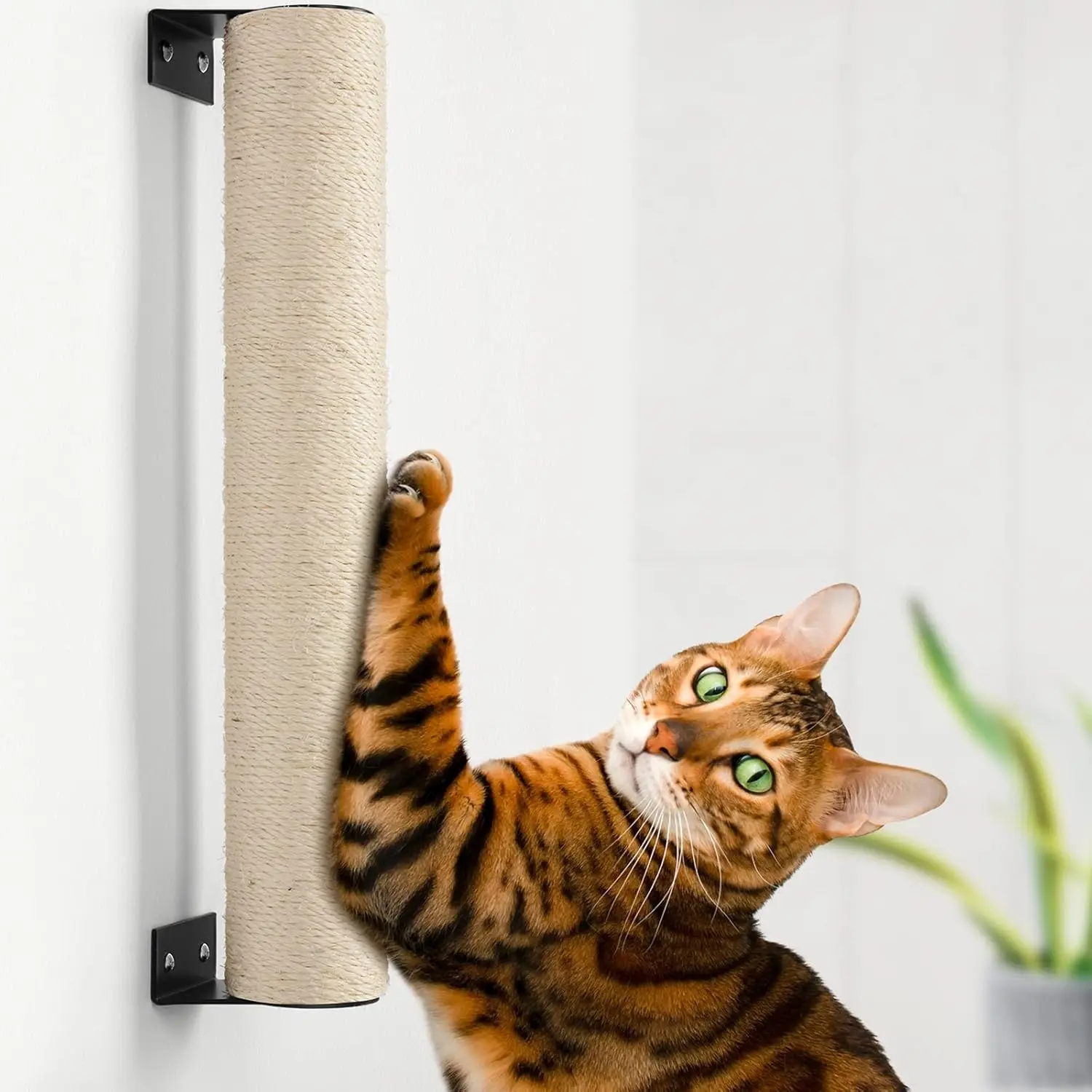 

Wall Mounted Cat Scratching Post for Indoor Cats | Kitten Wall Shelves Climbing Furniture| Sisal Rope Cat Claw Scratcher