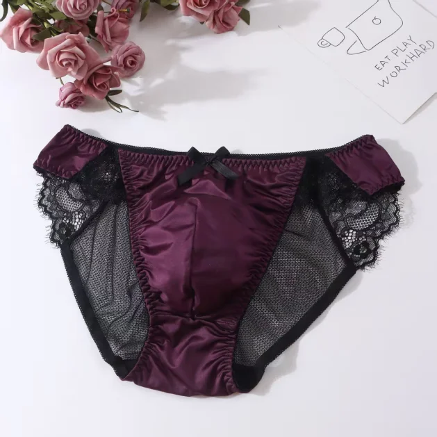 Underwear Man's Hip Sheer Net Mesh Sexy Panties Briefs Lace Hem Bowtie BF Gifts LGBQT Harajuku Private Party DJ Club Bar view 4
